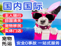 昭通航空快递国际宠物托运 【国